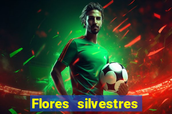 Flores silvestres brasileiras brasileiras flores silvestres nomes e imagens