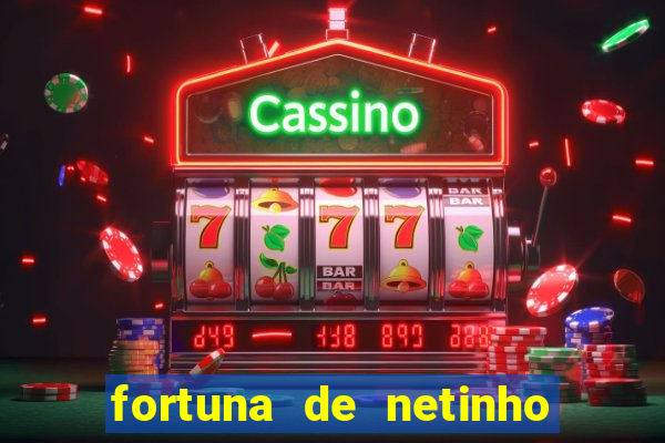 fortuna de netinho de paula